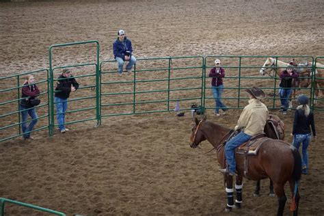 For the first time ever, the top five year-end money earning professionals from the NRCHA, NCHA and the NRHA will come together at the 42,000-seat Globe Life Field competing for $1,000,000 in prize money. . Reined cow horse trainers in texas